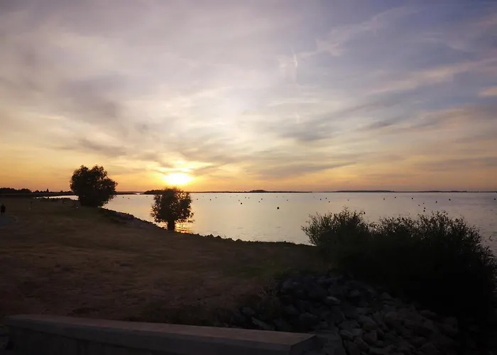Le Nichoir Lac Du Der